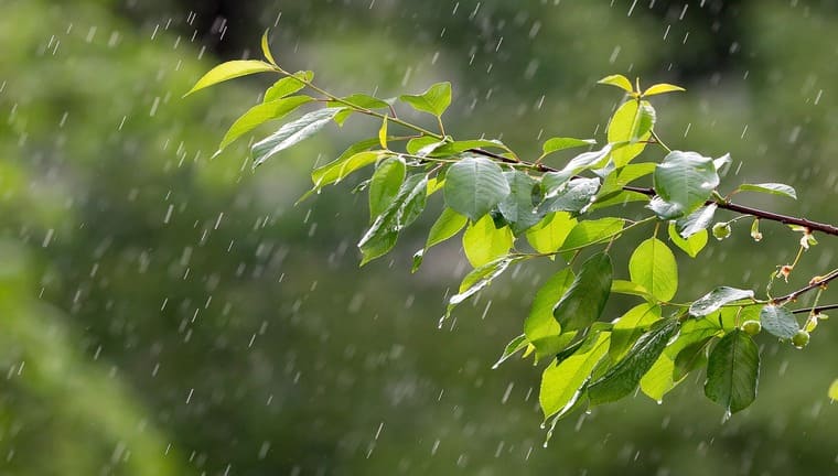 降水量の意味と降水量1mmは実際にどれくらいなのか 科学探偵の日常の謎解き